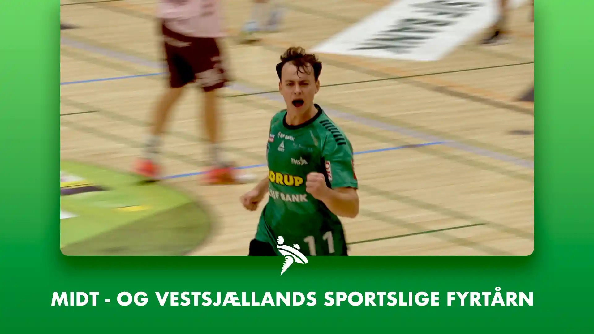 Kampvideo - TMS Ringsted mod Aalborg Håndbold